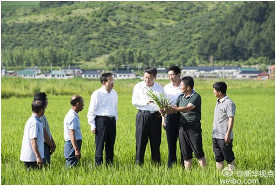 海利集團,長沙殺蟲劑,長沙光氣衍生物,長沙氨基酸保護劑,長沙鋰離子電池材料