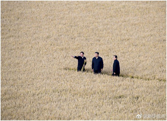 海利集團,長沙殺蟲劑,長沙光氣衍生物,長沙氨基酸保護劑,長沙鋰離子電池材料