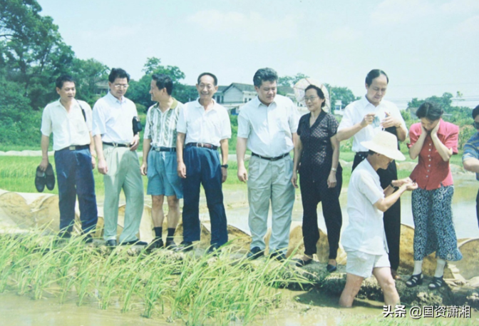 海利集團(tuán),長沙殺蟲劑,長沙光氣衍生物,長沙氨基酸保護(hù)劑,長沙鋰離子電池材料